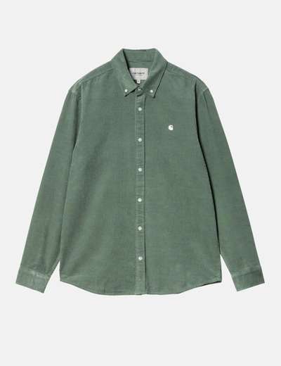 Carhartt -wip Madison Fine Cord Shirt (regular) In Green
