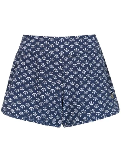 Track & Field Conchas Shorts In Blue
