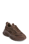 Steve Madden Possession Sneaker In Dark Brown