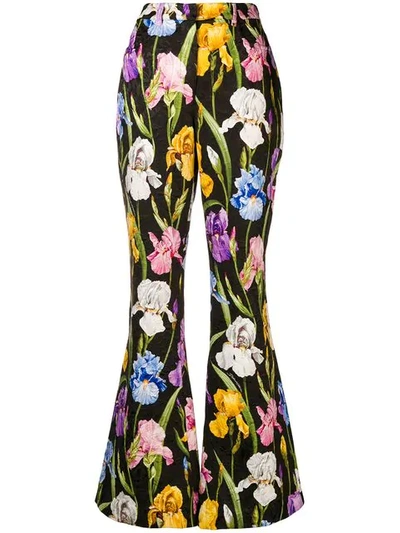 Dolce & Gabbana Iris Print Flared Trousers In Black