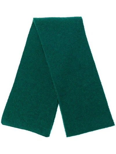 Indress Ribbed Knit Scarf In Green