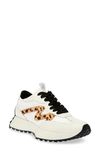 Steve Madden Campo Sneaker In White/ Leopard Calf Hair