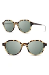 Shwood Powell 50mm Polarized Geometric Sunglasses In Matte Havana/blk Chrome/g15