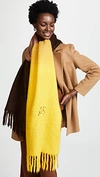 Acne Studios Kelow Dye Scarf In Brown/almond/yellow