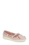 Sperry Oasis Boat Shoe In Rose Canvas