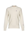 Champion In Ivory