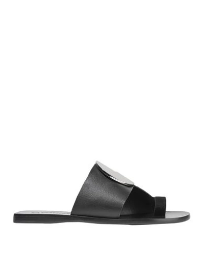 Mercedes Castillo Toe Strap Sandals In Black