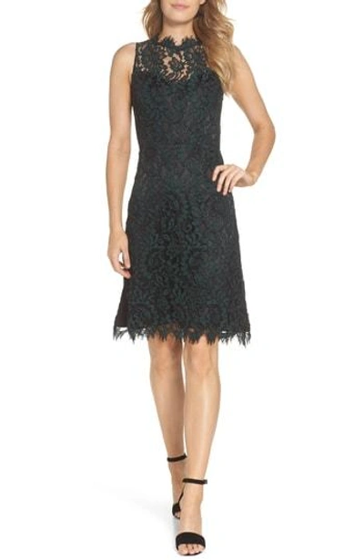 Eliza J High Neck Lace Sheath Dress In Green