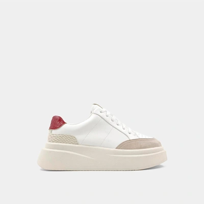 Shu Shop Women's Skylar Sneaker In Dark Red Snake In Multi