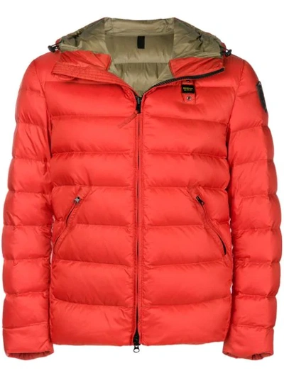 Blauer Padded Jacket In Yellow