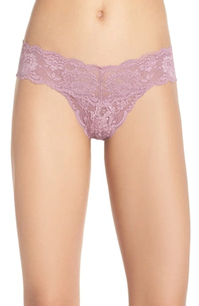 Cosabella Never Say Never Cutie Lace Thong In Grape