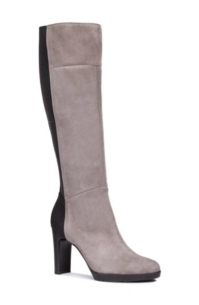 Geox Annya Knee High Boot In Chestnut Suede