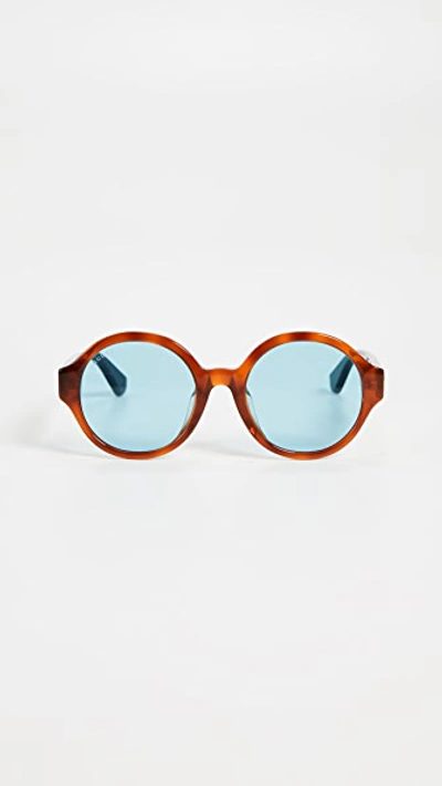 Gucci Sylvie Round Sunglasses In Havana/azure