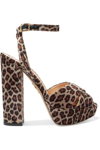 Charlotte Olympia Velvet Leopard-print Platform Sandals In Leopard Print