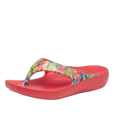 Alegria Women's Ode Sandal In Itchycoo In Multi