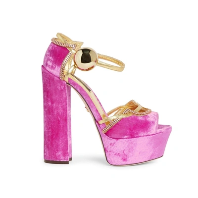 Dolce & Gabbana Velvet Crystal Heel Sandals In Pink