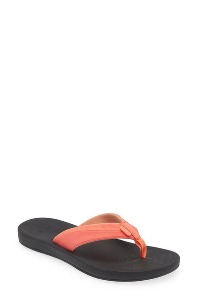 Sanuk Cosmic Aquarius Water Friendly Flip Flop In Fusion Coral