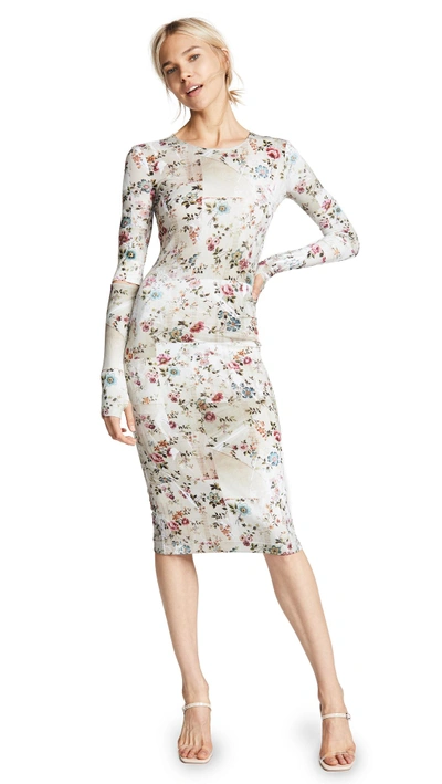 Preen By Thornton Bregazzi Sophie Dress In Ivory Floral