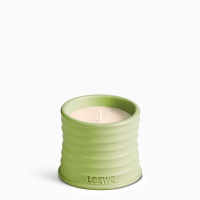 Loewe Cucumber Light-green Small Candle Women