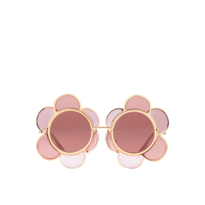 Dolce & Gabbana Special Edition Flower Sunglasses In Pink