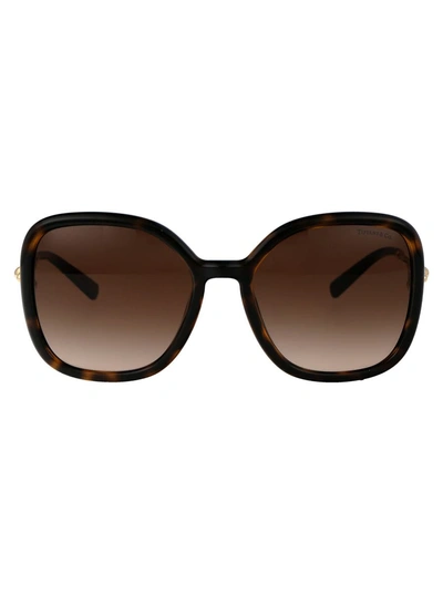 Tiffany & Co . Sunglasses In 80153b Havana
