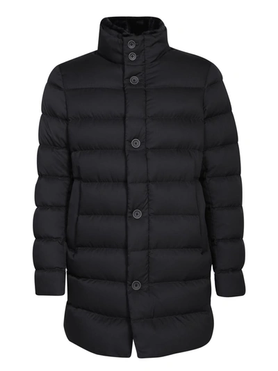 Herno Down Jackets In Black