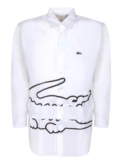 Comme Des Garçons Comme Des Garã§ons Shirt X Lacoste In White