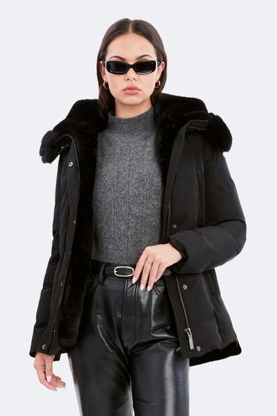 Dawn Levy - Official Website Luka In Black