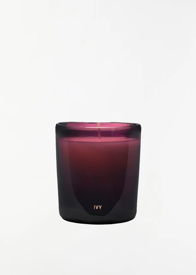 Perfumer H 325g Handblown Candle In Ivy