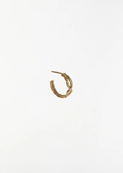 Corali Archi Hoop In 14k Yellow Gold