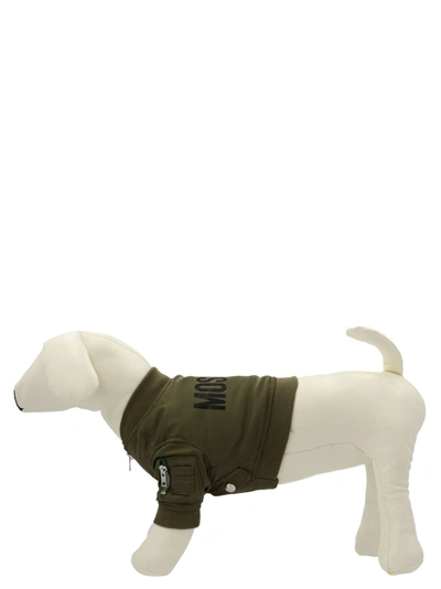 Moschino Pets Capsule Bomber Jacket Pets Accesories Green