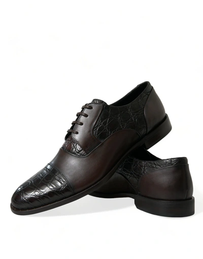 Dolce & Gabbana Brown Exotic Leather Formal Men Dress Men's Shoes