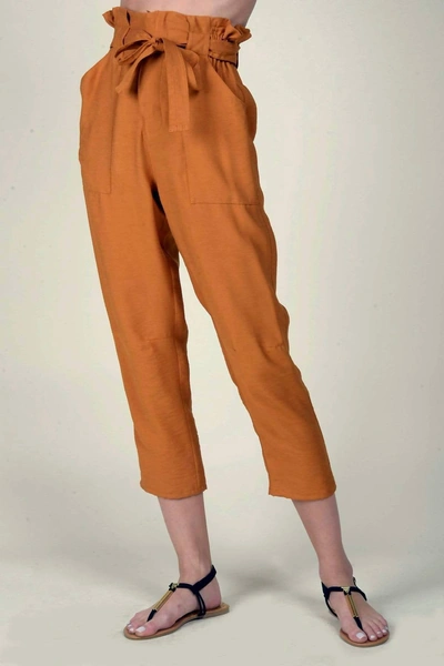 Eva Franco Cargo Pant In Pumpkin In Brown