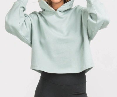 Southern Shirt Company Cropped Gym Class Hoodie In Moon Mist In Green