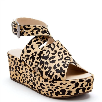 Matisse Women's Runaway Platform Sandal In Leopard In Brown