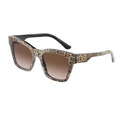 Dolce & Gabbana Dg4384 Sunglasses In Brown