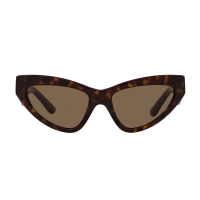 Dolce & Gabbana Women's Dg4439 55mm Sunglasses In Brown