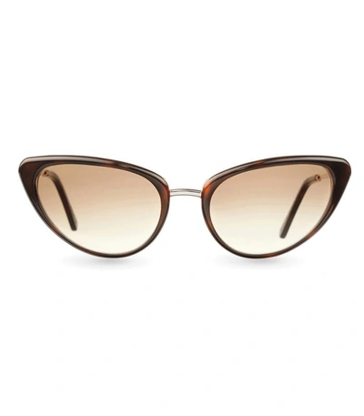 Eclipse Ec228 Sunglasses In Brown