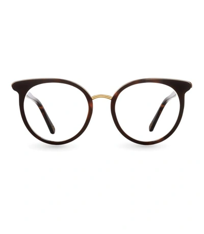 Eclipse Ec526 Eyeglasses In Brown