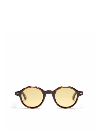 Peter And May Sunglasses In Tortoise