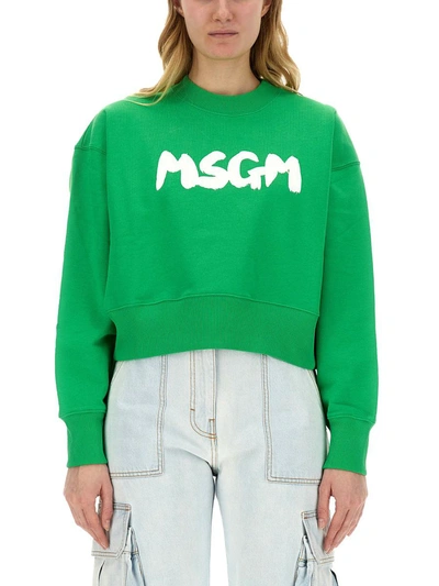 Msgm Sweatshirt With Logo In Green