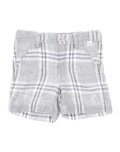 Il Gufo Bermudas In Light Grey