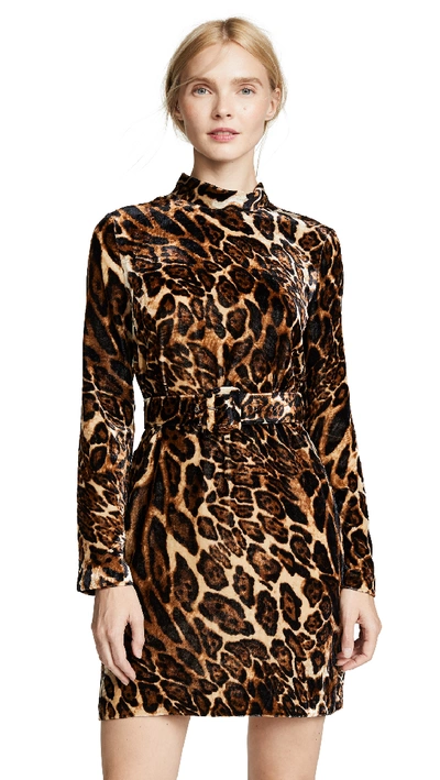Wayf Peggy Mock Neck Belted Shift Dress In Leopard