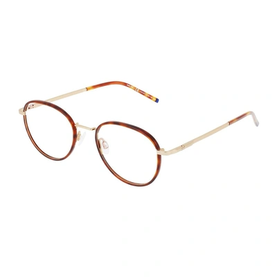 Zeiss Zs22104 Eyeglasses In 243 Gold/turtle