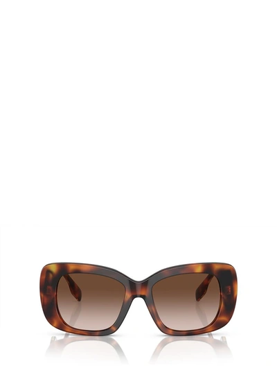 Burberry Sunglasses In Light Havana