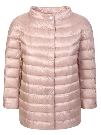 Herno Down Jackets In Pink