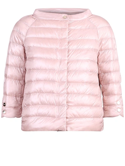 Herno Jackets In Pink