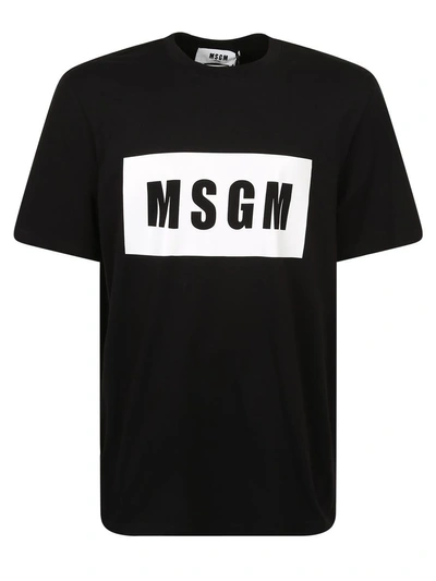 Msgm T-shirts In Black