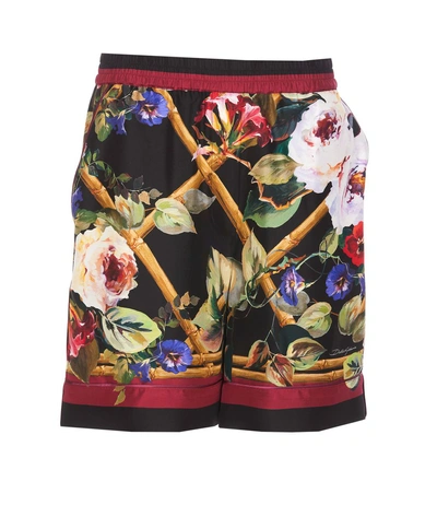 Dolce & Gabbana Shorts In Multicolour