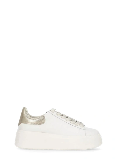 Ash Sneakers White
